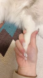 -UGIRL有个美甲