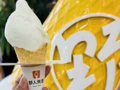 -野人先生Gelato(上海长宁龙之梦店)