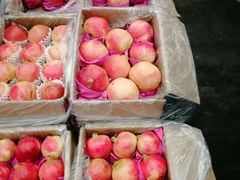 -西郊国际农产品交易中心