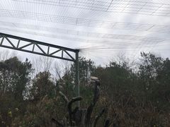 -宁波野生动物园