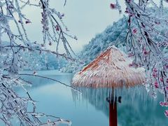 -永州阳明山国家森林公园