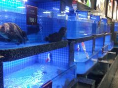 -尊立方海鲜酒店·生日宴·家宴
