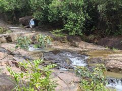 -广州白江湖森林公园