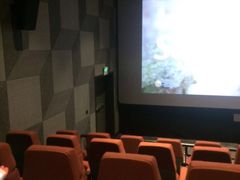 -喜满客影城(汉神广场店)