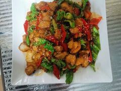 -煲来饱去冷水鱼