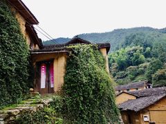 -杨家堂村