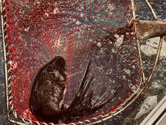 -雪野鱼头大王邢府公老店(雪野湖店)