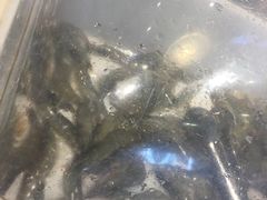 -渔公码头海货全海鲜自助(海滨旅游路店)