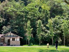 -龙湾潭国家森林公园