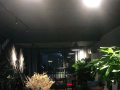-梵猫·新养生(湛江鼎盛店)