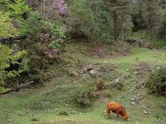 -硗碛藏寨·神木垒景区