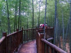 -陶祖圣境风景区