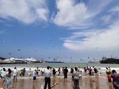 -海驴岛(荣成市)
