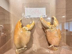 -龙海鲜螃蟹王(宏茂桥店)