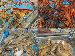 -半岛听涛蒸汽海鲜自助(K11店)