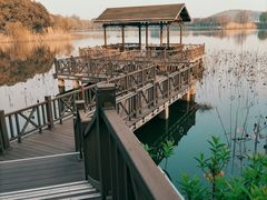 -上海市保健医疗中心