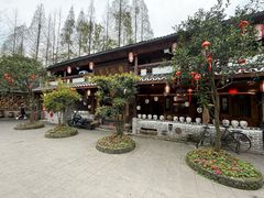 -青城甲(青城山店)