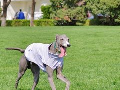 -春晖园度假酒店温泉