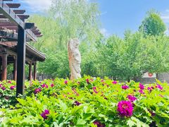 -三里河公园