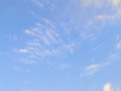 -苹果树下艺术餐厅(通州店)