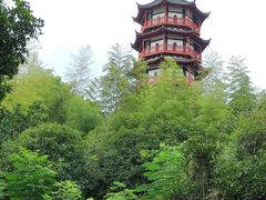 -绳金塔