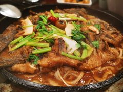 老板恋上鱼-老板恋上鱼(高新万达店)