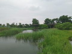 -尚贤河湿地