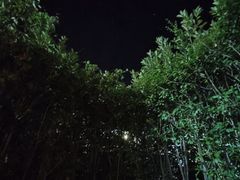 -大盘山温泉山庄