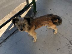 -东天目山风景区