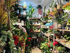 -溪岸路花鸟市场