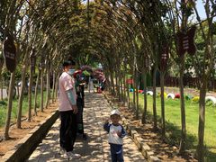 -武汉紫薇都市田园