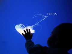 -江和美海洋公园