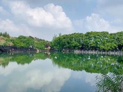 -白马涧龙池景区