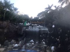 -100蛋泥浆浴