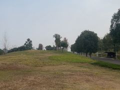 -白鹭湾湿地公园