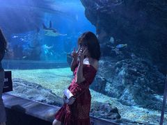 -暹罗海洋世界