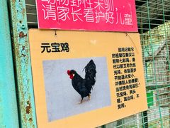 -大明幻境第一城