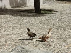 -香山公园-东宫门售票处