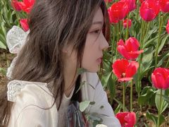 -杭州湾海上花田景区