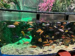 -太平洋海底世界