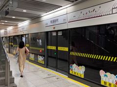 -桃浦新村(地铁站)