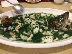 荠菜桂鱼-蝶苑(吴江路店)