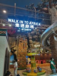 点击看大图 -卡通尼·Safari非洲探索乐园·生日会(金桥国际商业广场店)