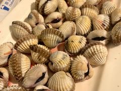 -华盛丰温州大排档(东三环南路店)