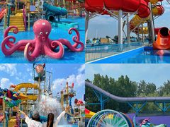 -秦皇岛乐岛海洋王国