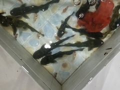 -山城家常菜铁锅炖鱼