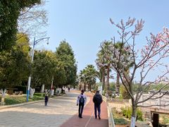 -洛龙公园