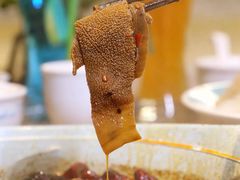 -青瓷火锅料理(西单大悦城店)