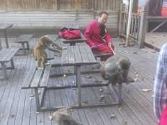 -帽儿山风景区