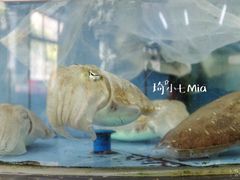 -春园海鲜广场D区6号(钟姐海鲜加工店)